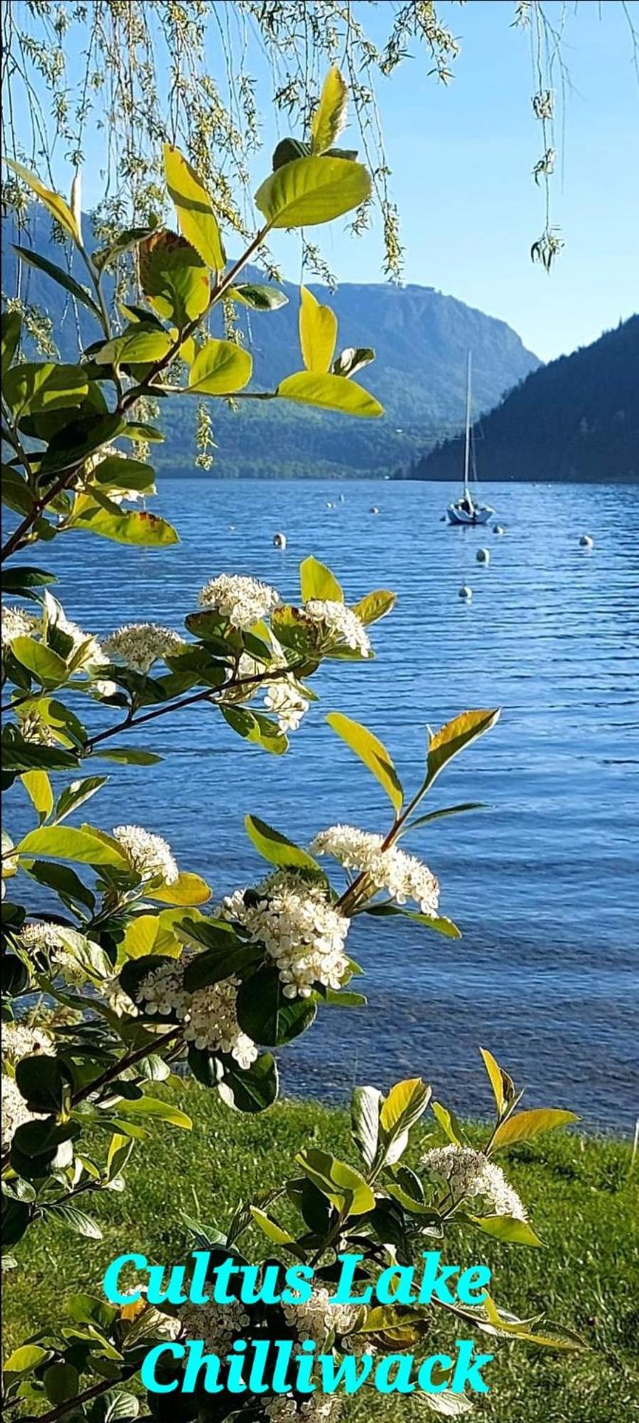 Private 2 Bedrooms Suite Near Hwy 1, Cultus Lake, Heritage Park, Fishing, Coliseum Чилівак Номер фото