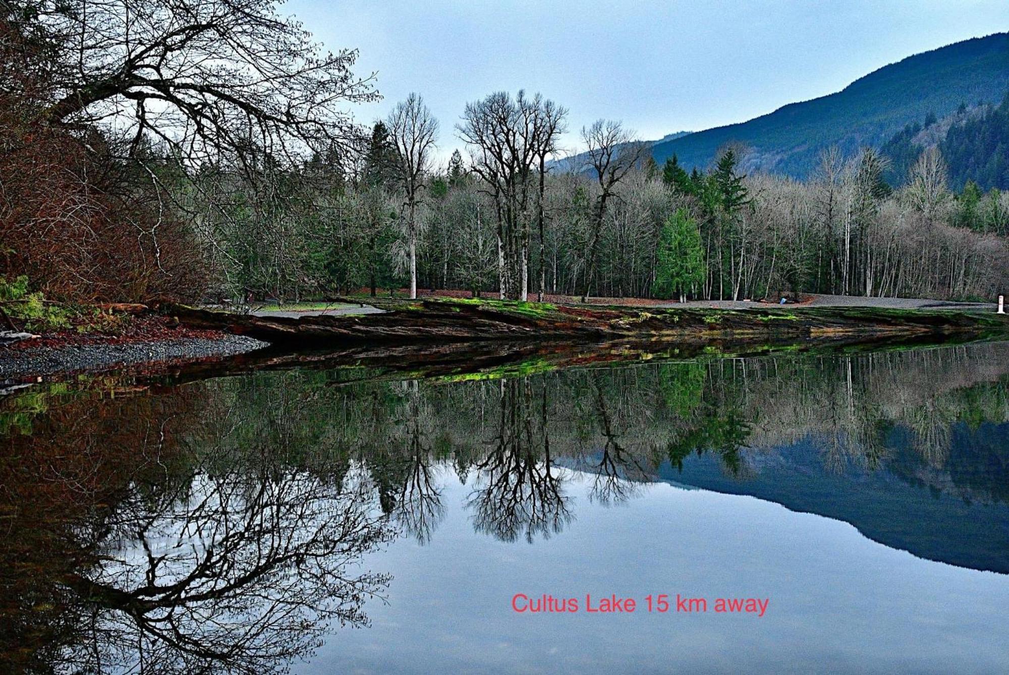 Private 2 Bedrooms Suite Near Hwy 1, Cultus Lake, Heritage Park, Fishing, Coliseum Чилівак Екстер'єр фото